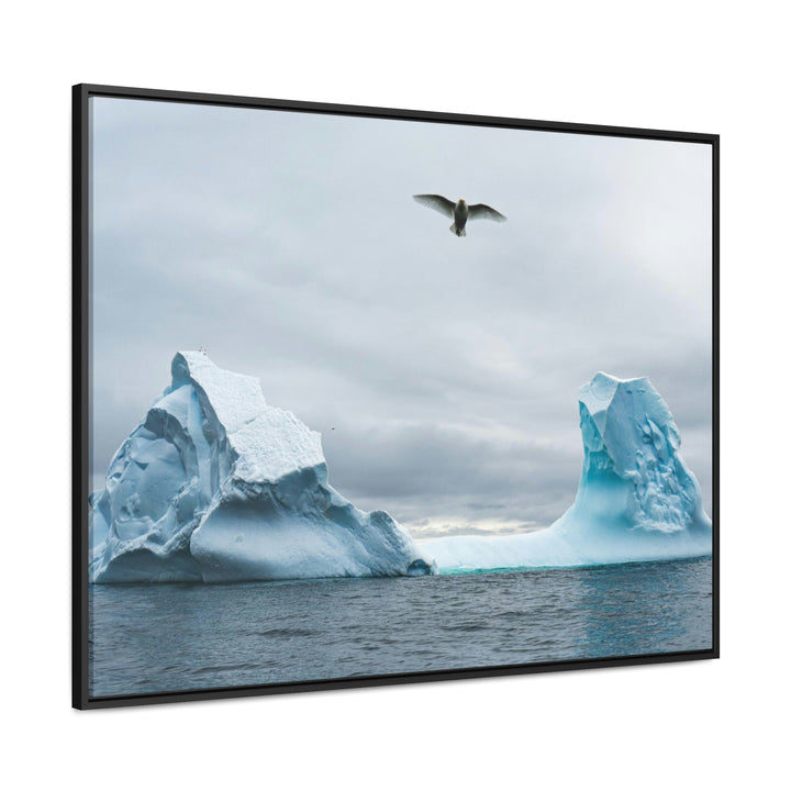 Antarctic Flight - Canvas with Frame