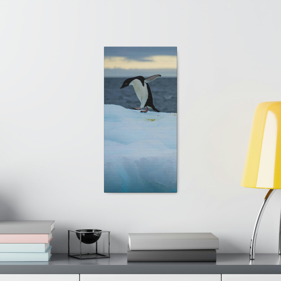 Penguin Dance - Canvas