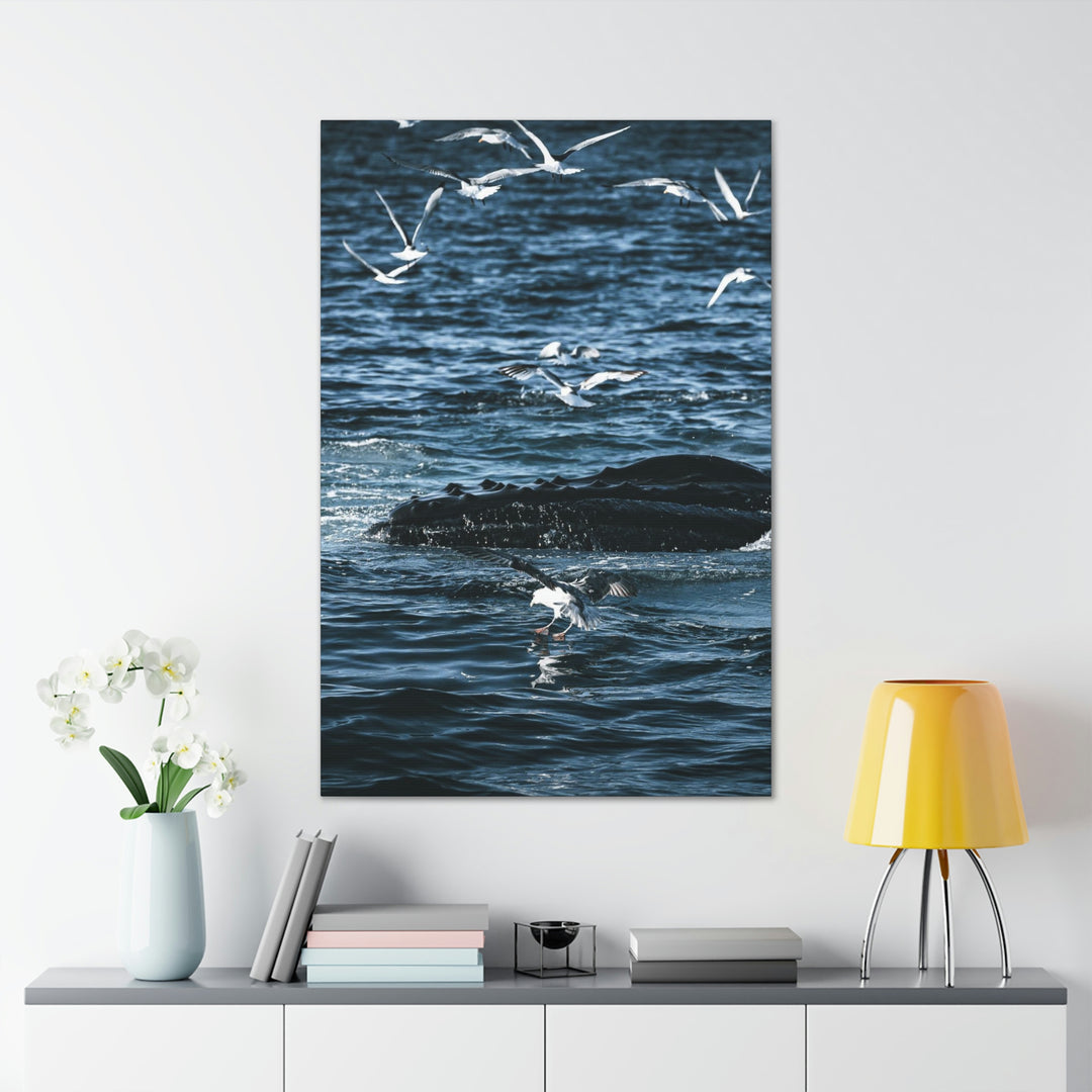 Humpback Hello - Canvas