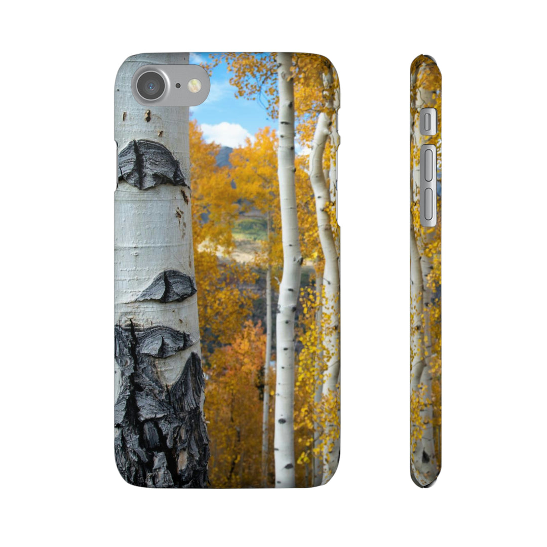 Aspens Changing - Phone Case