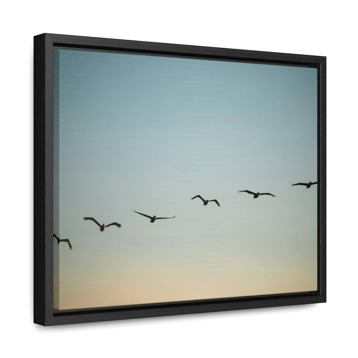 Brown Pelicans in Flight - Canvas with Frame