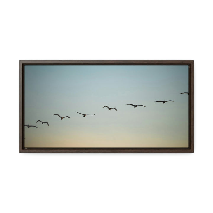 Brown Pelicans in Flight - Canvas with Frame