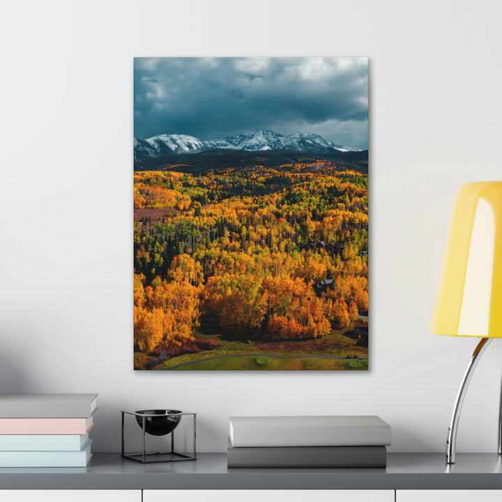 Golds of Autumn - Canvas