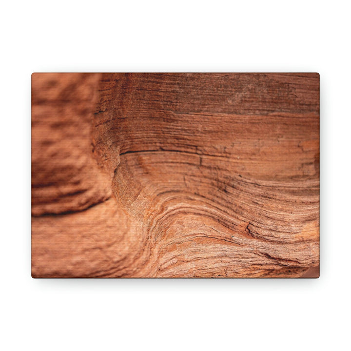 Sedimentary Rock Curves - Canvas