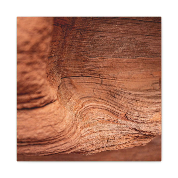 Sedimentary Rock Curves - Canvas