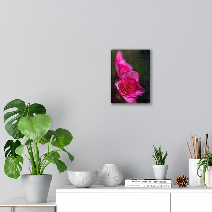 Hybrid Tea Lily - Canvas