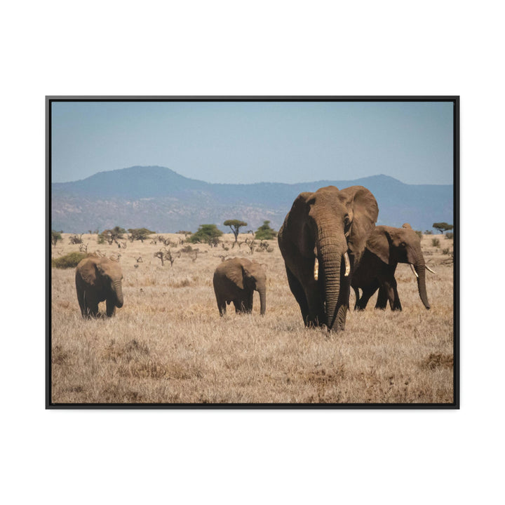 Family March - Canvas With Frame