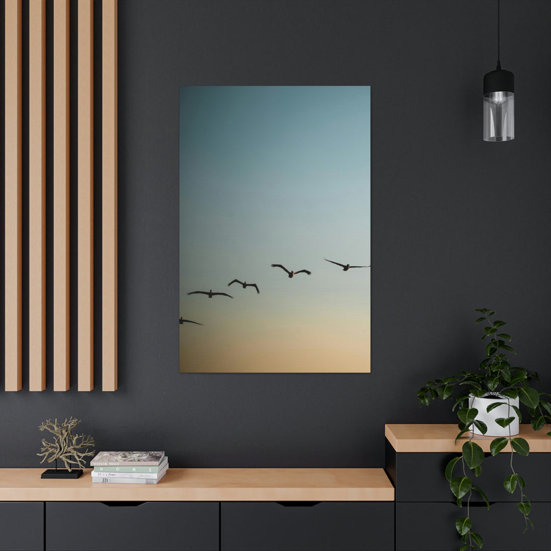 Brown Pelicans in Flight - Canvas