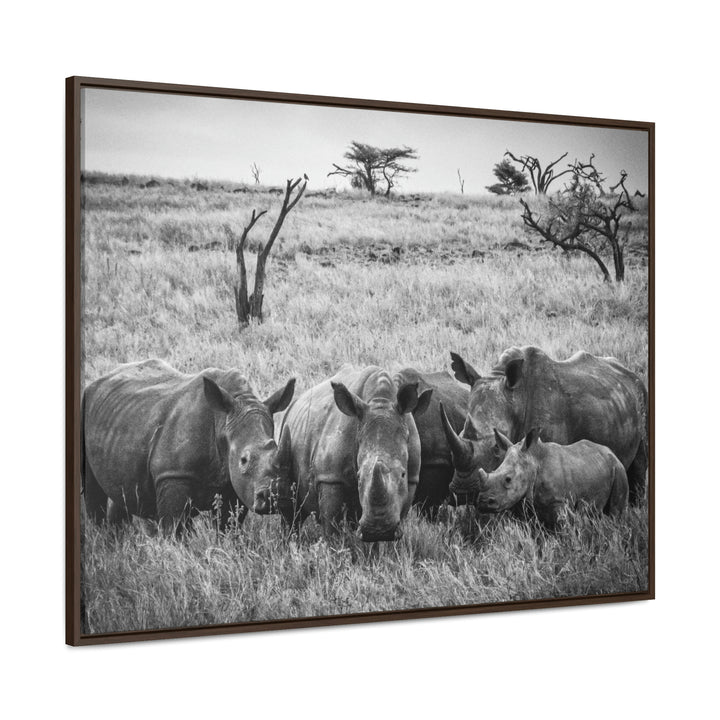 Rhino Family in Black and White - Canvas with Frame