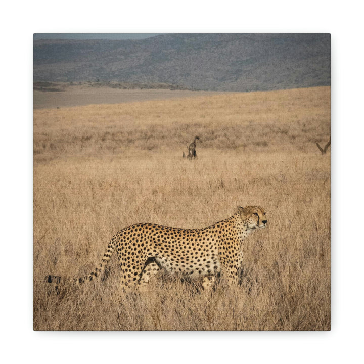 Regal Camouflage - Canvas