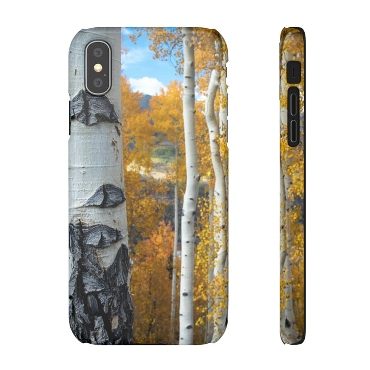 Aspens Changing - Phone Case