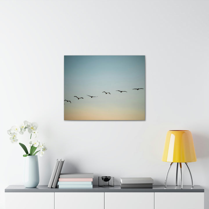 Brown Pelicans in Flight - Canvas