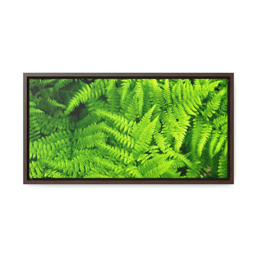 Ferns, Ferns, Ferns - Canvas with Frame