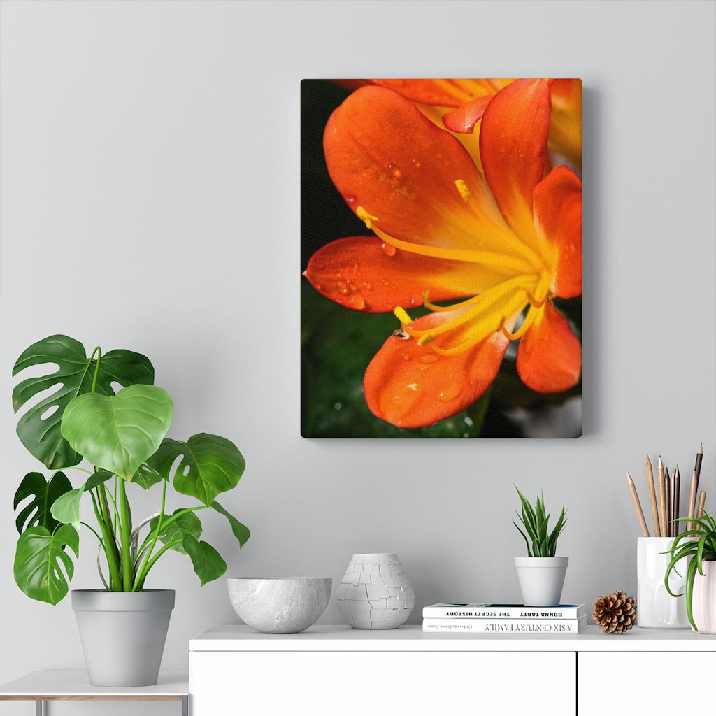 Bright Bush Lily - Canvas