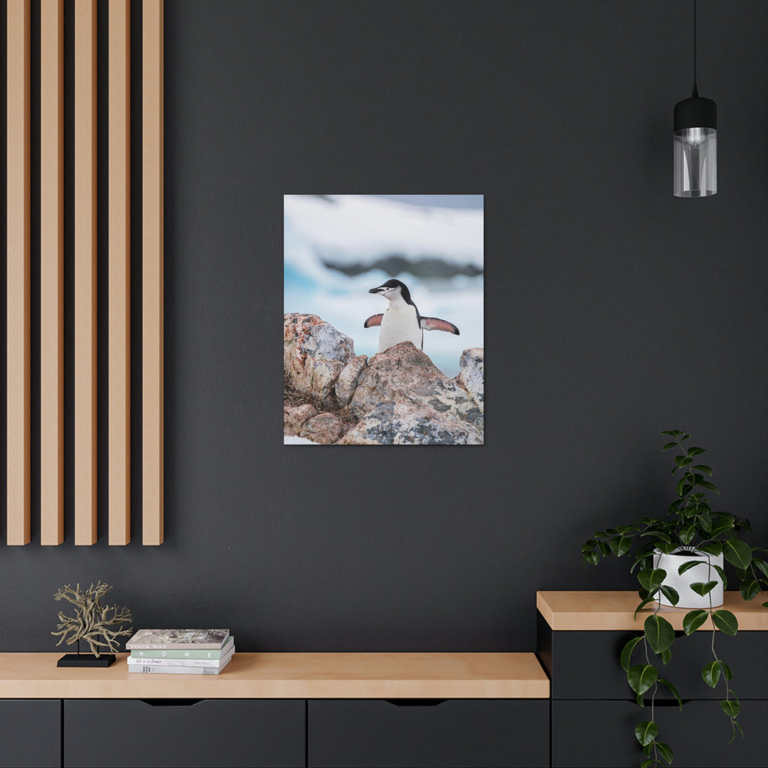 Stretched Penguin - Canvas