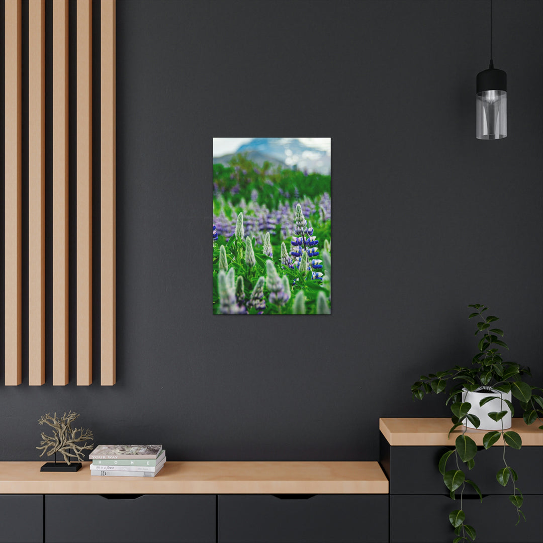 Glowing Lupin with Mountains - Canvas