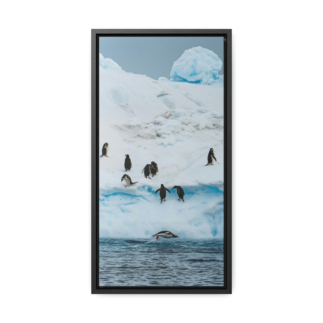 Porpoising Penguin - Canvas with Frame