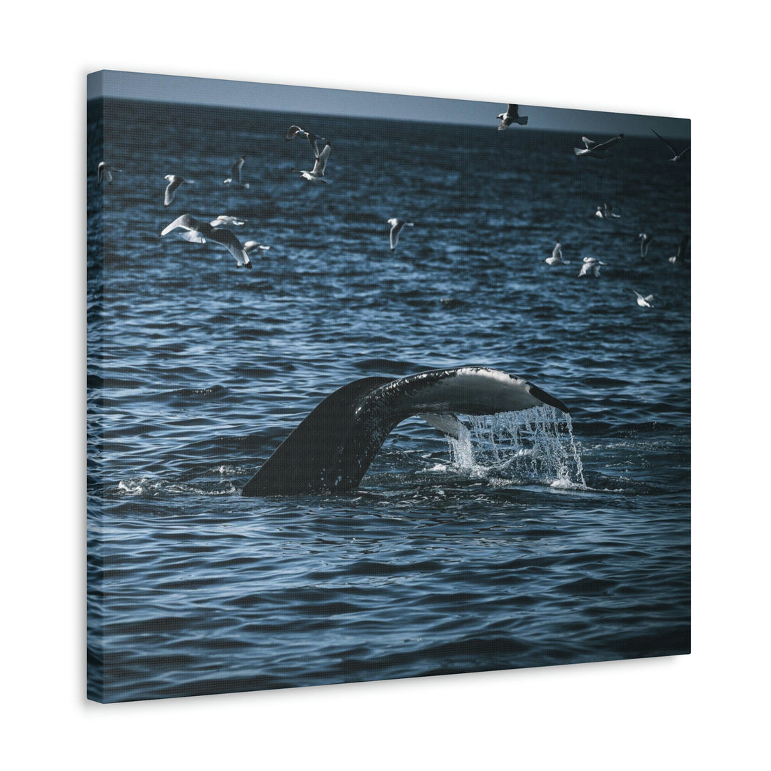 Feeding Tail - Canvas