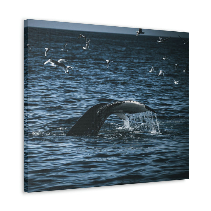 Feeding Tail - Canvas