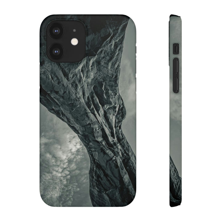 Natural Frames Part 3 in Black and White - Phone Case