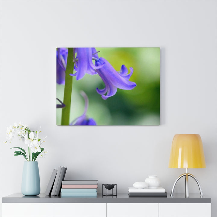 Delicate Bell - Canvas