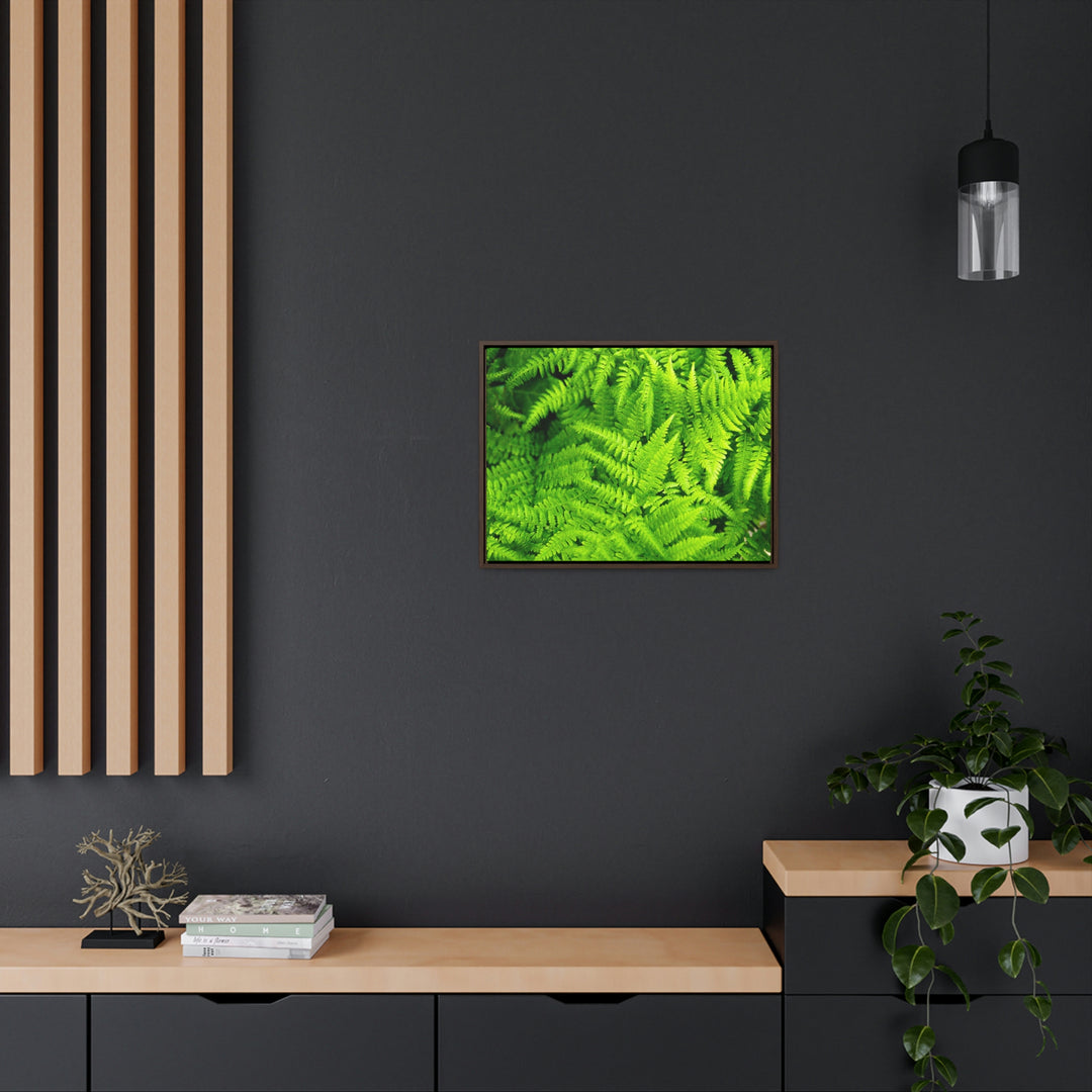 Ferns, Ferns, Ferns - Canvas with Frame