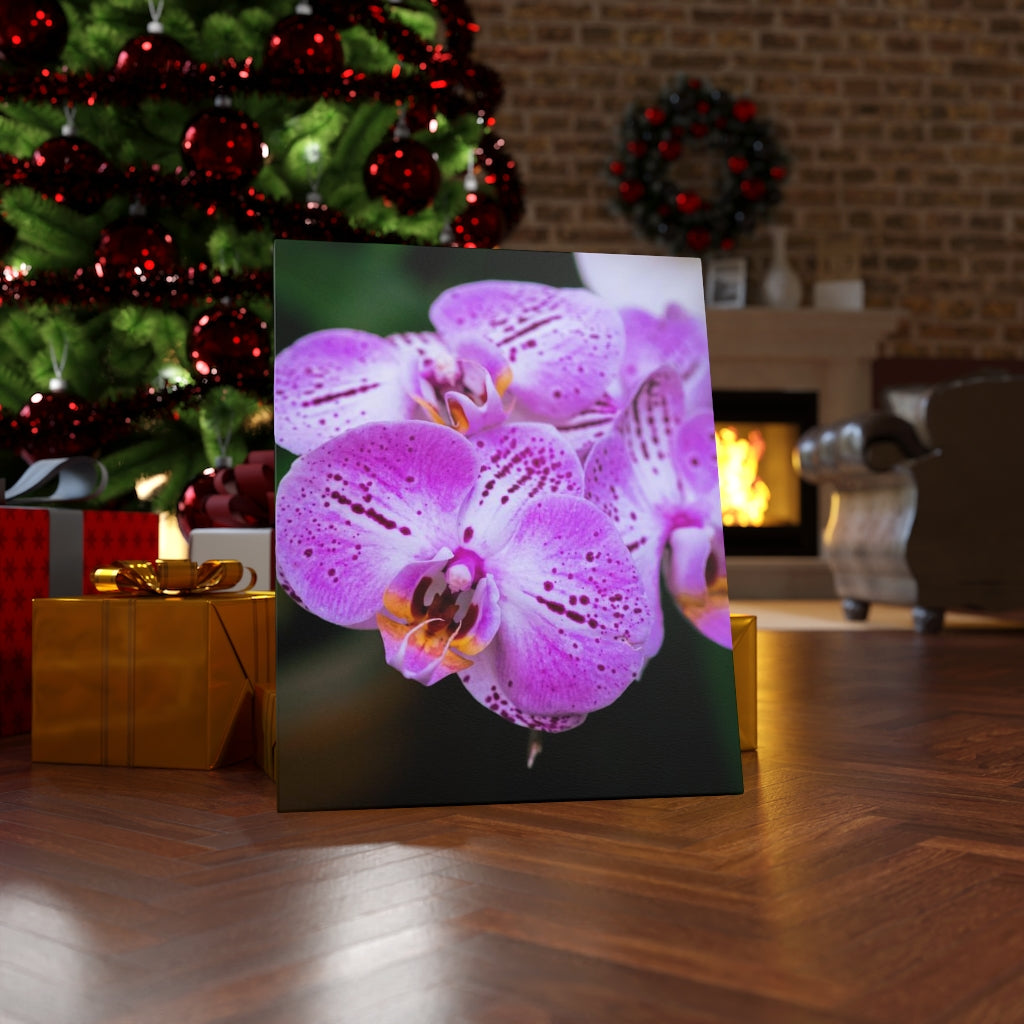 Orchid in Pink - Canvas