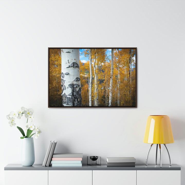 Aspens Changing - Canvas with Frame