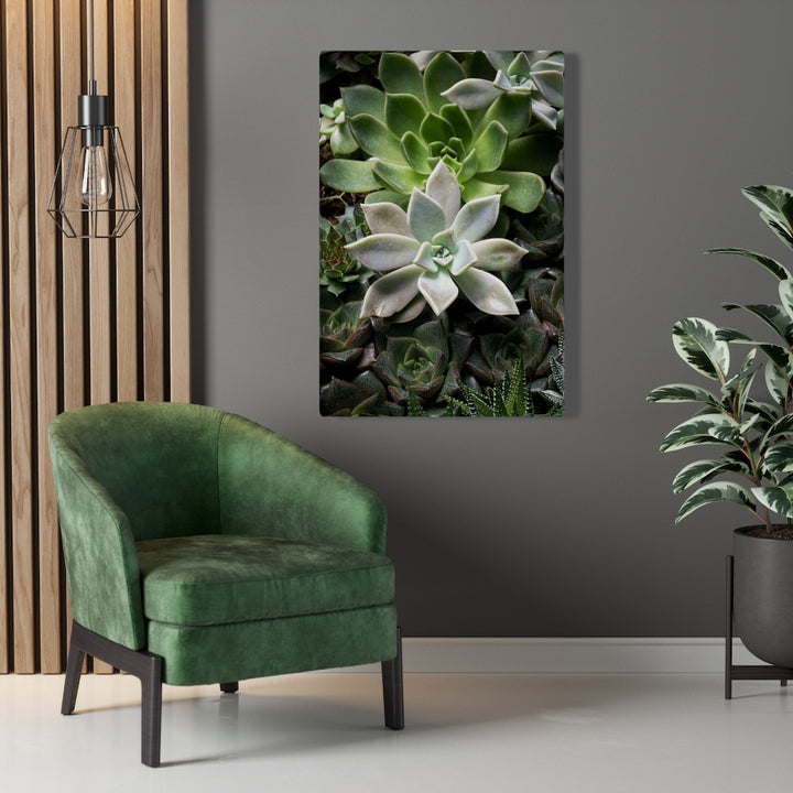 Succulent - Array - Canvas