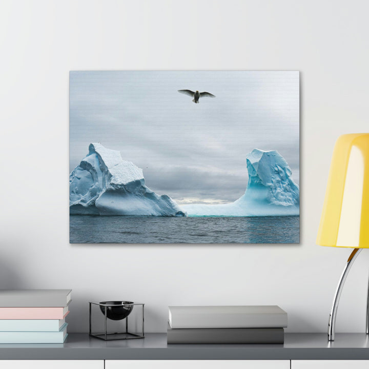 Antarctic Flight - Canvas