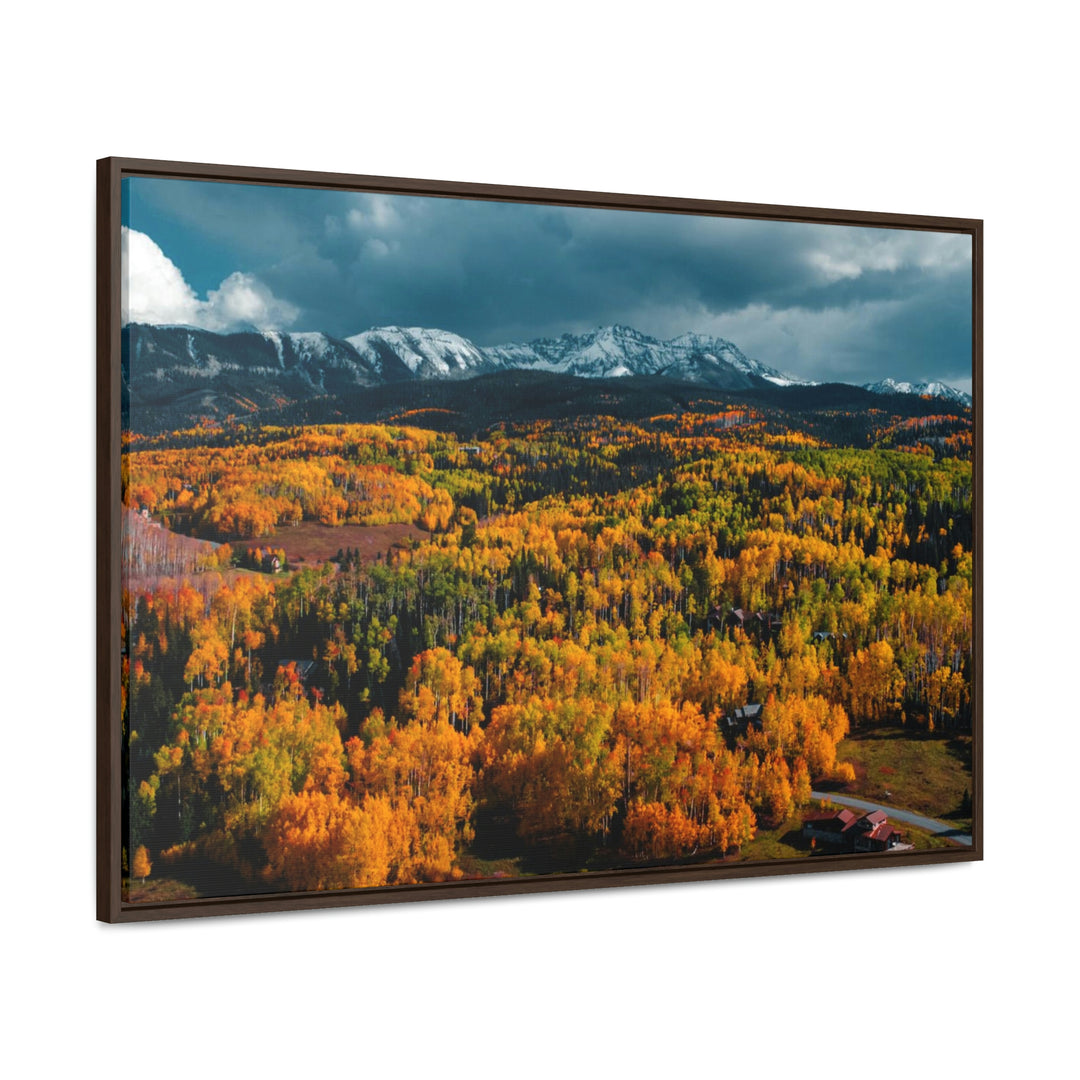 Golds of Autumn - Canvas with Frame