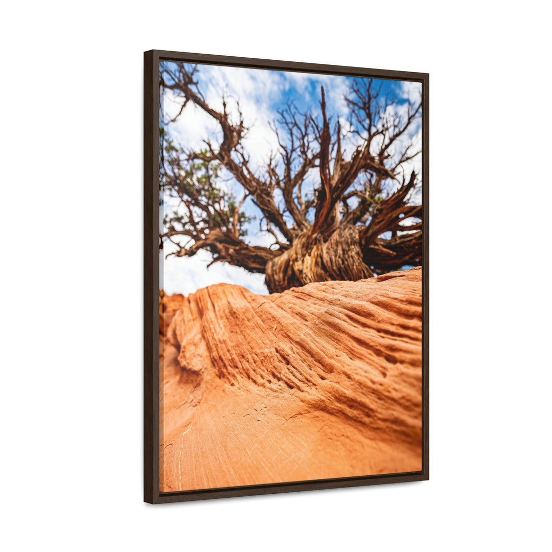 Desert Reach - Canvas with Frame