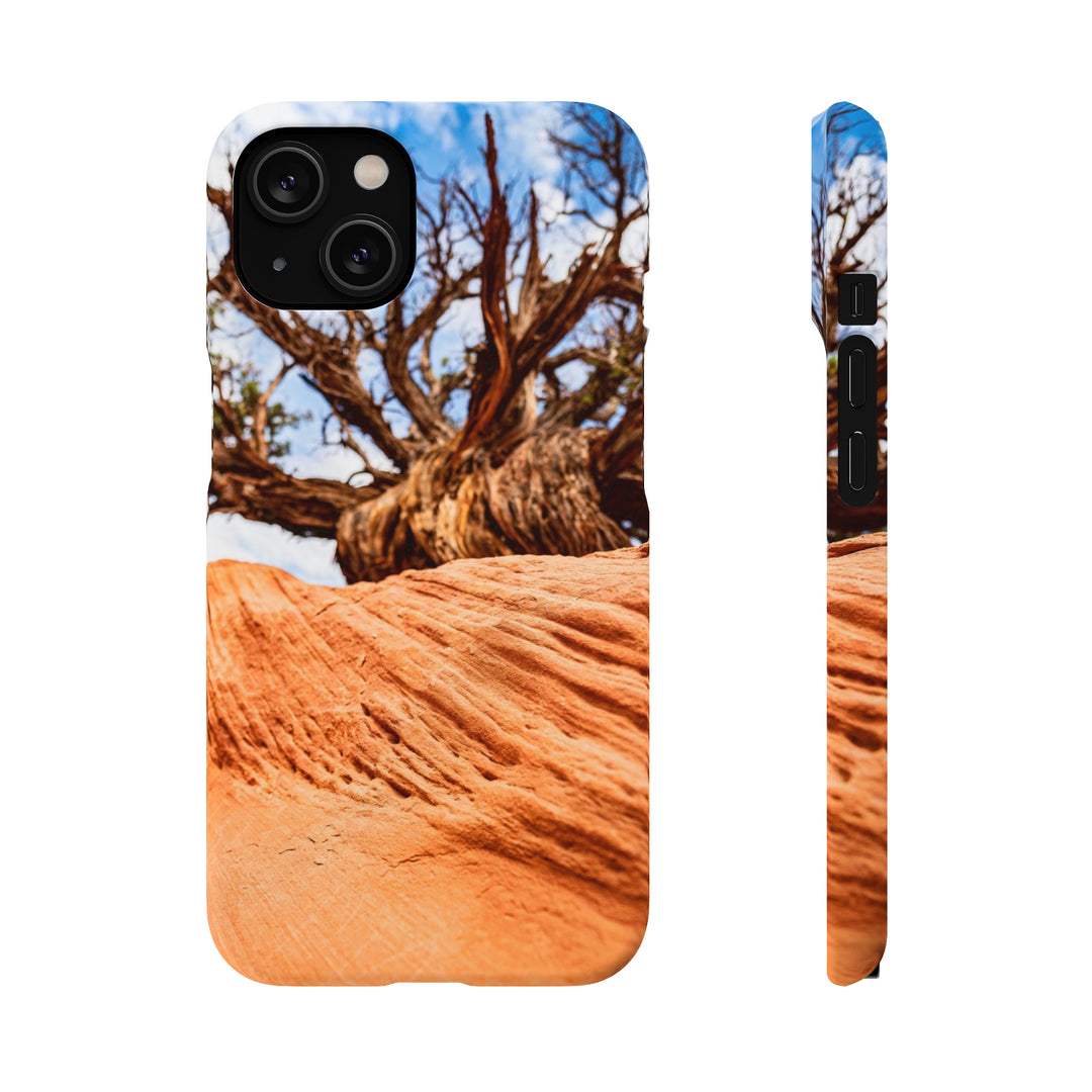 Desert Reach - Phone Case