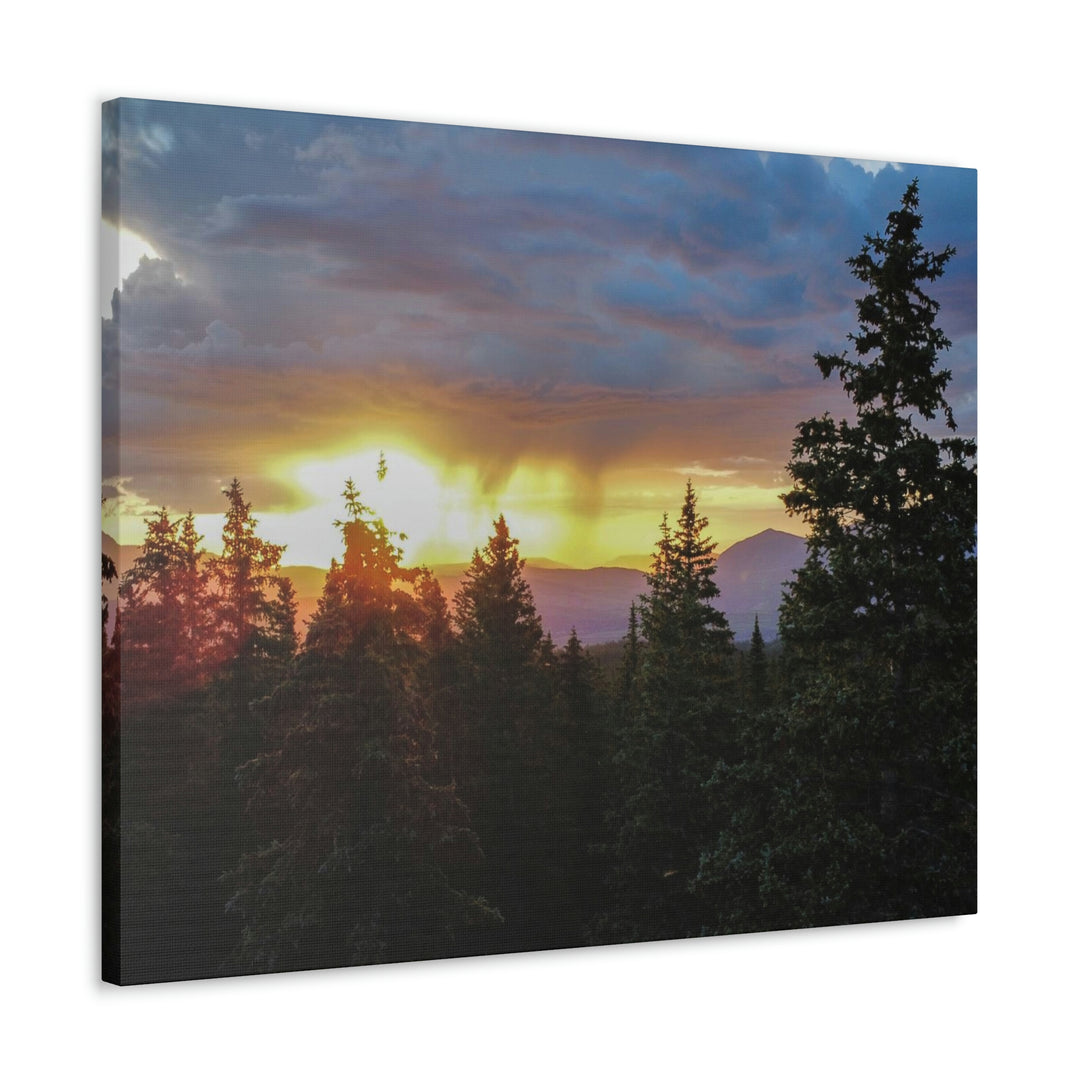 Rainy Sunset Through the Trees - Canvas