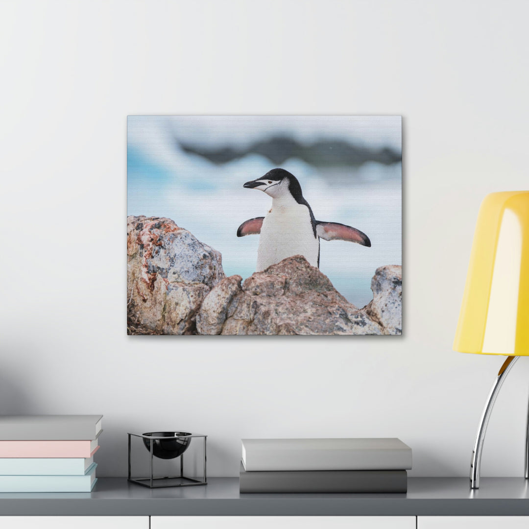 Stretched Penguin - Canvas