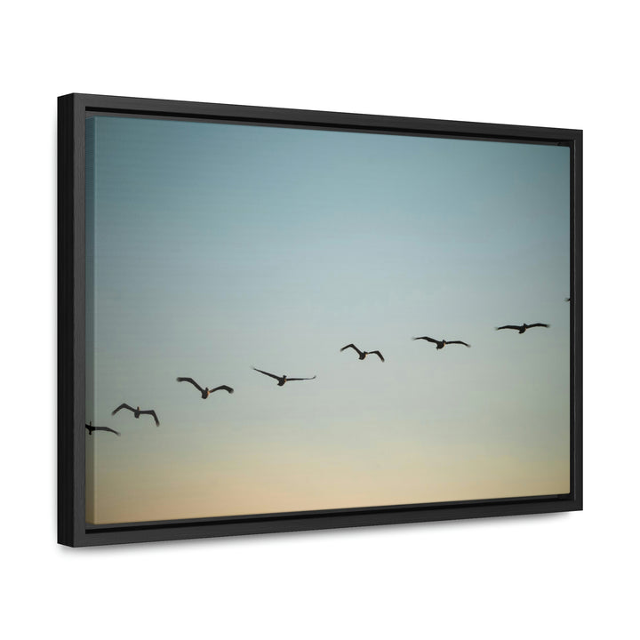 Brown Pelicans in Flight - Canvas with Frame