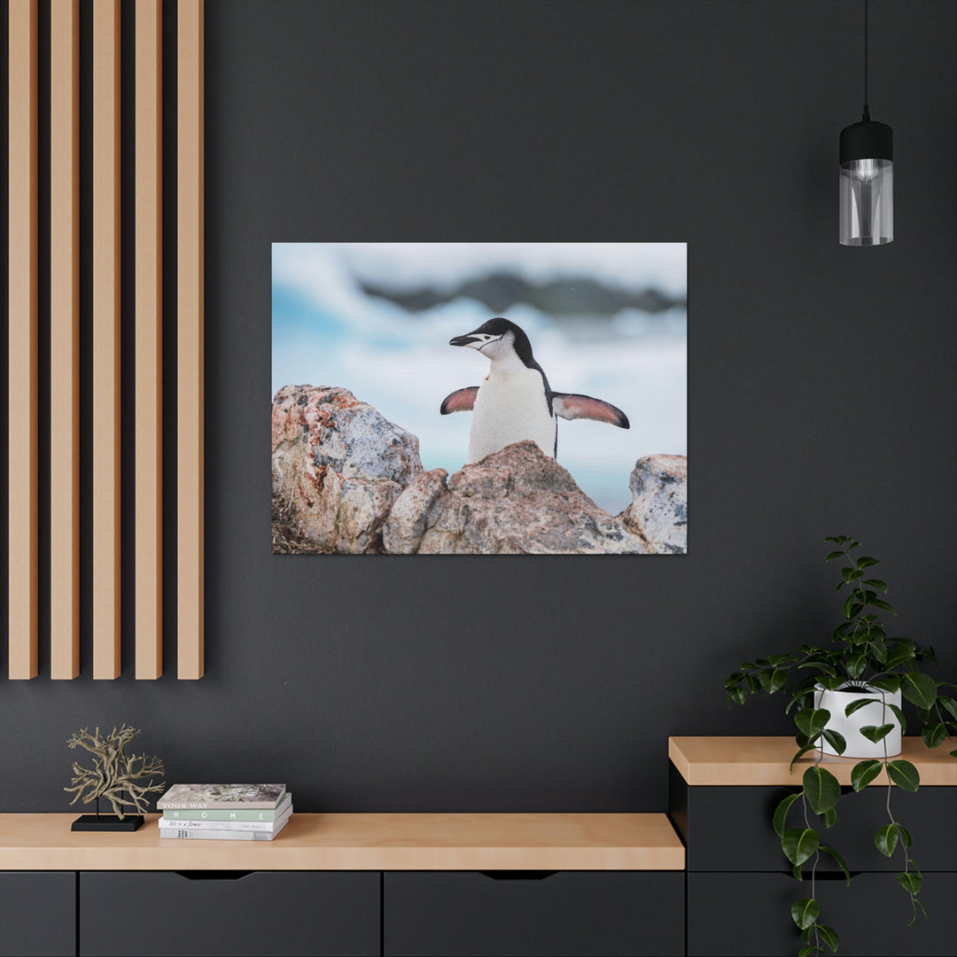 Stretched Penguin - Canvas