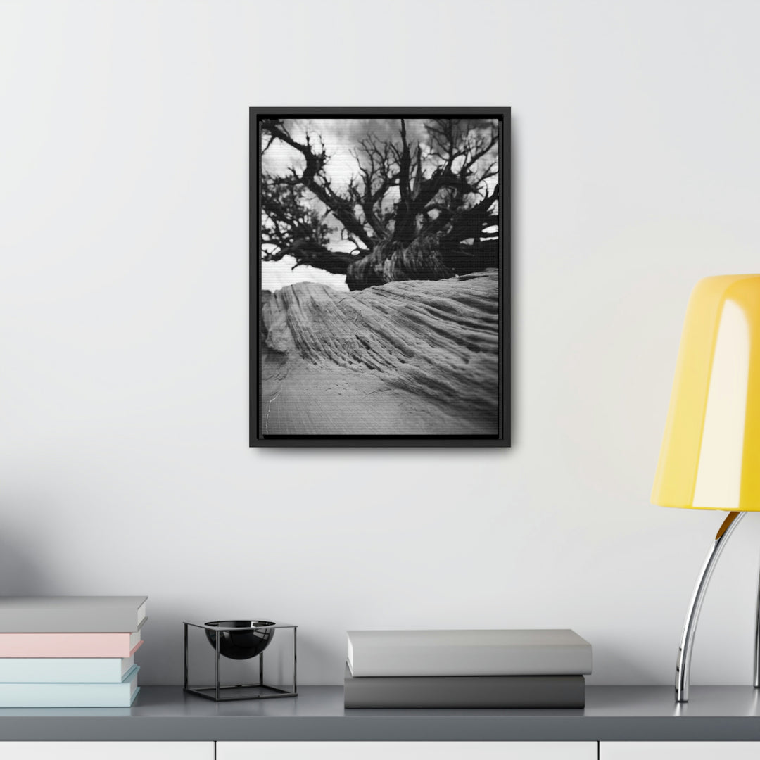 Desert Reach in Black and White - Canvas with Frame