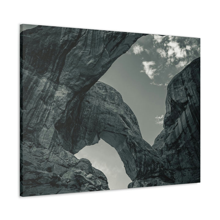 Natural Frames Part 4 in Black and White - Canvas