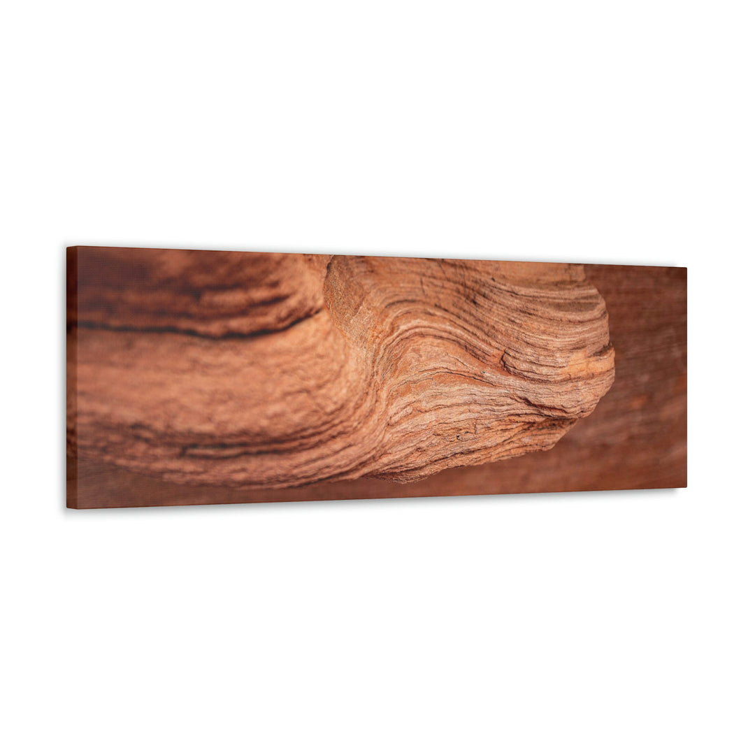 Sedimentary Rock Curves - Canvas