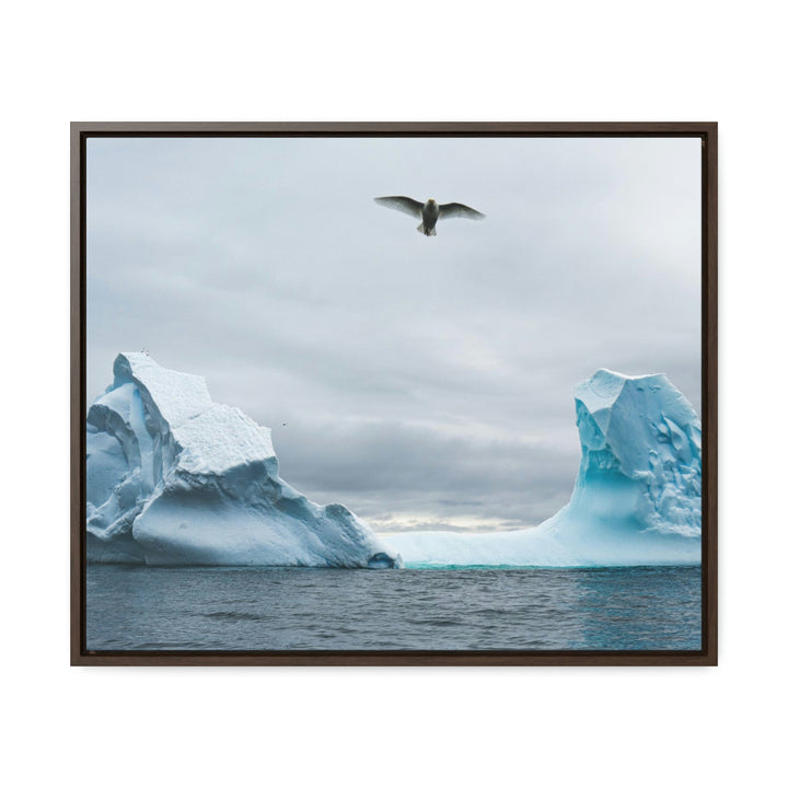 Antarctic Flight - Canvas with Frame