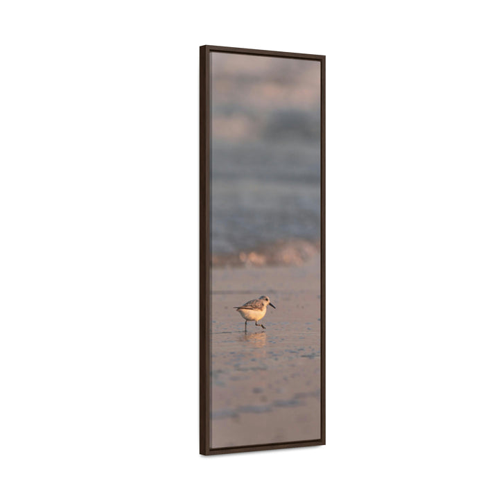 Sanderling in Soft Dusk Light - Canvas with Frame