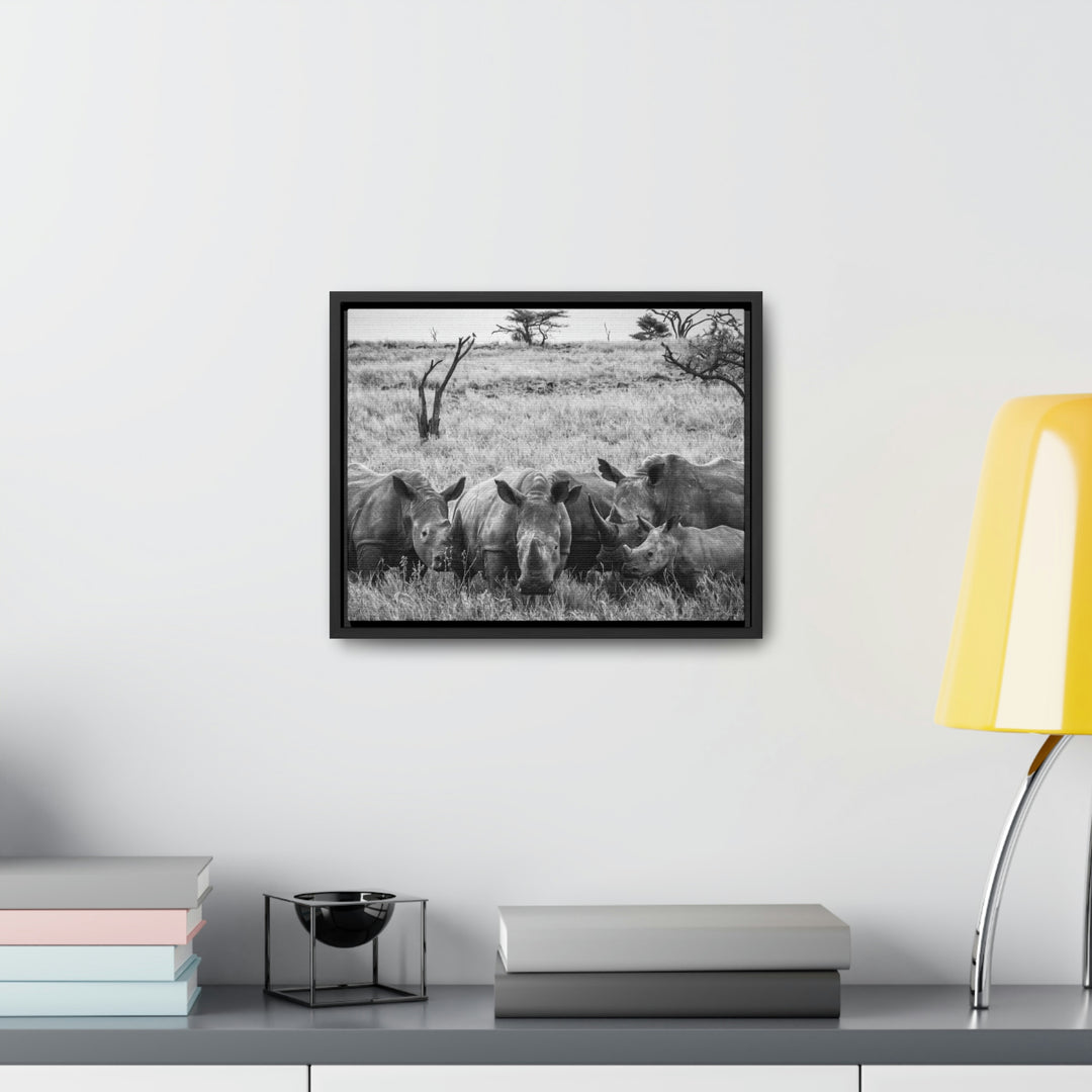 Rhino Family in Black and White - Canvas with Frame