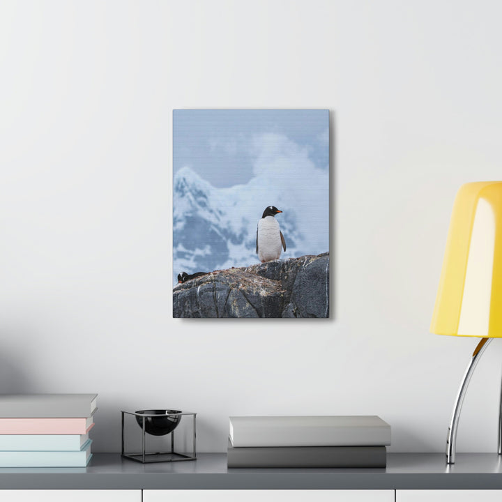 Poised Penguin - Canvas