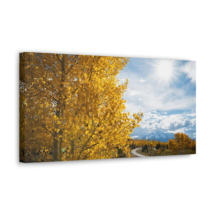 Golden Sunshine - Canvas