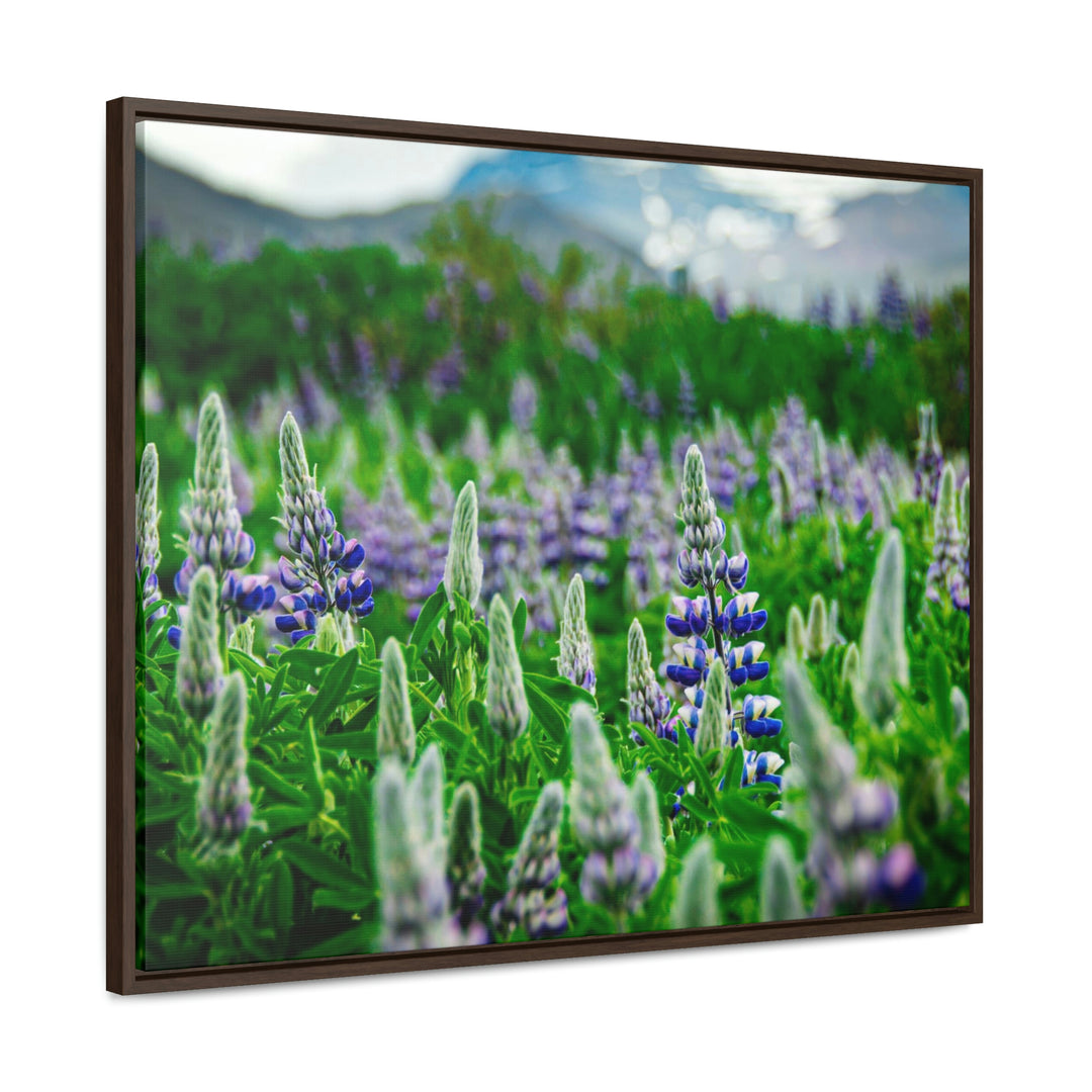 Glowing Lupin with Mountains - Canvas with Frame