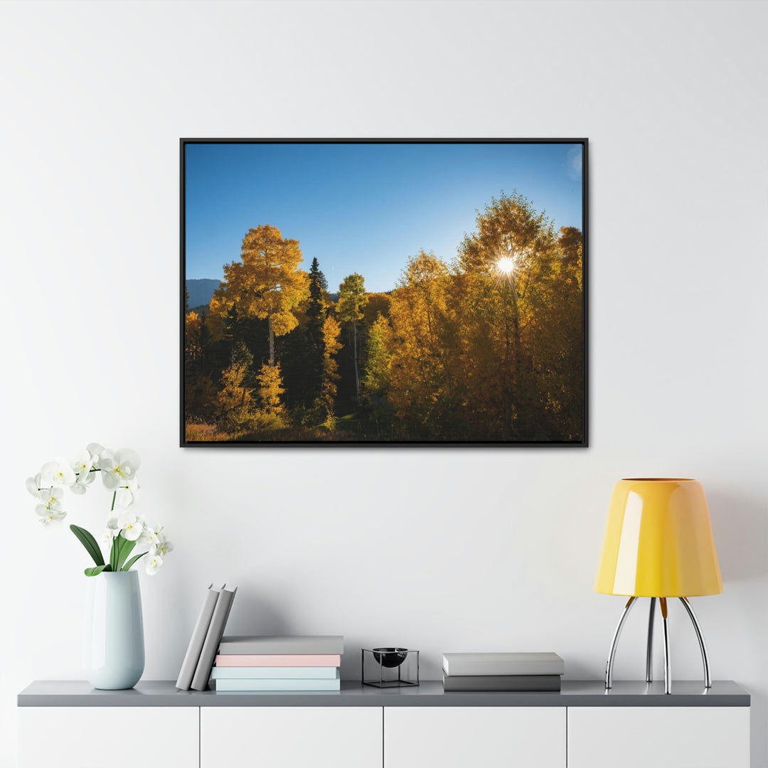 Sun Through the Aspens - Canvas with Frame