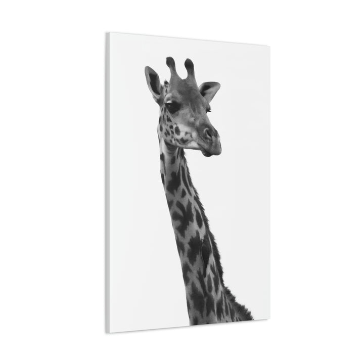 Giraffe Portrait in Black and White  - Canvas