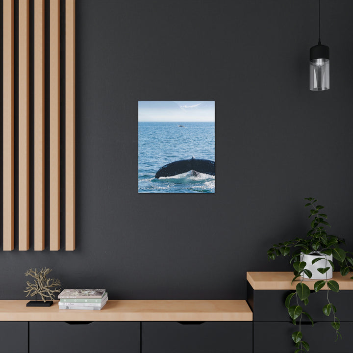 A Whale and A Mountain - Canvas