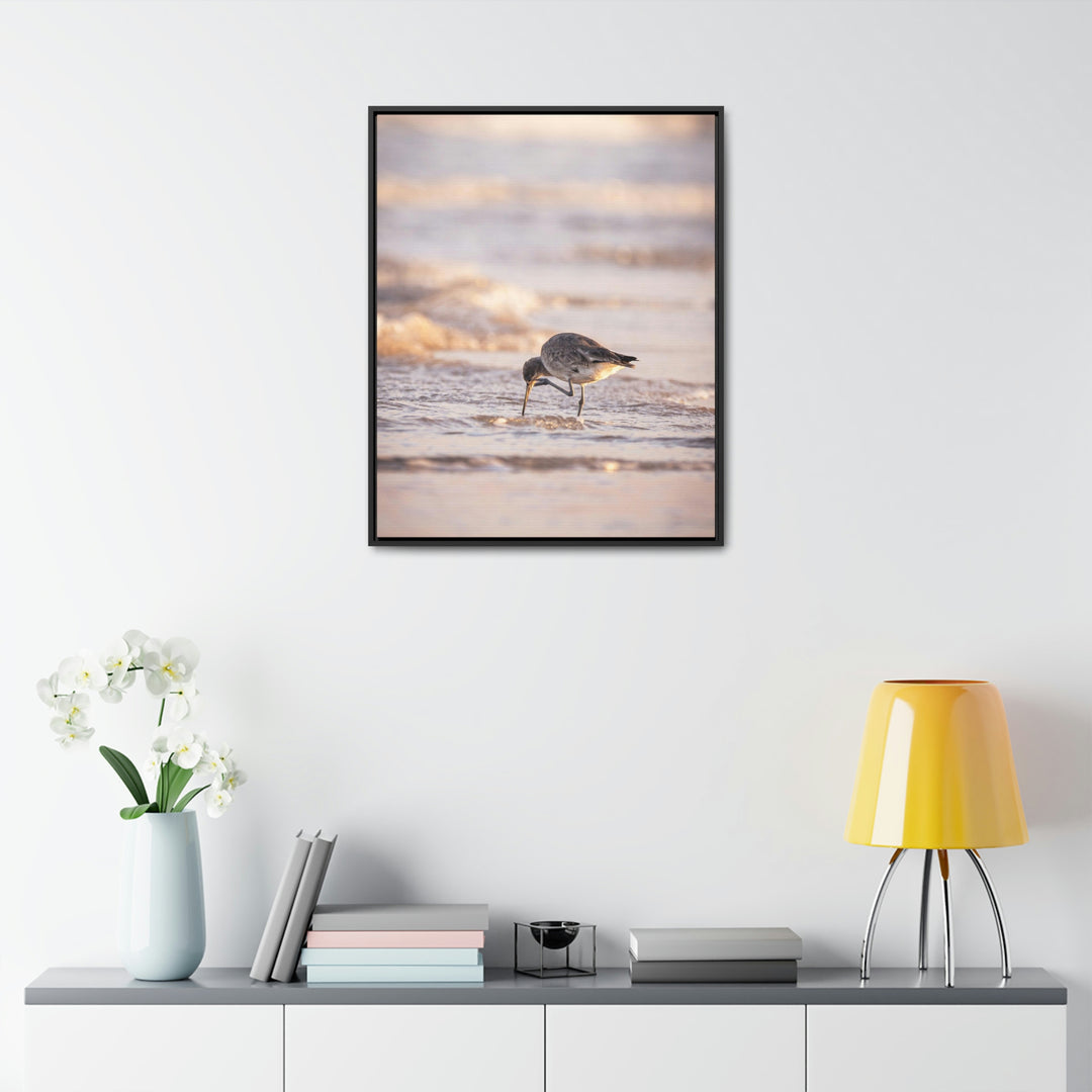 Willet Itch - Canvas with Frame